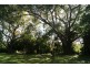 Bundaberg North QLD 4670