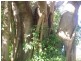 Bundaberg North QLD 4670