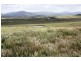 Taunton QLD 4674