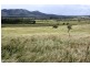 Taunton QLD 4674
