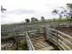 Taunton QLD 4674