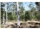South Kolan QLD 4670
