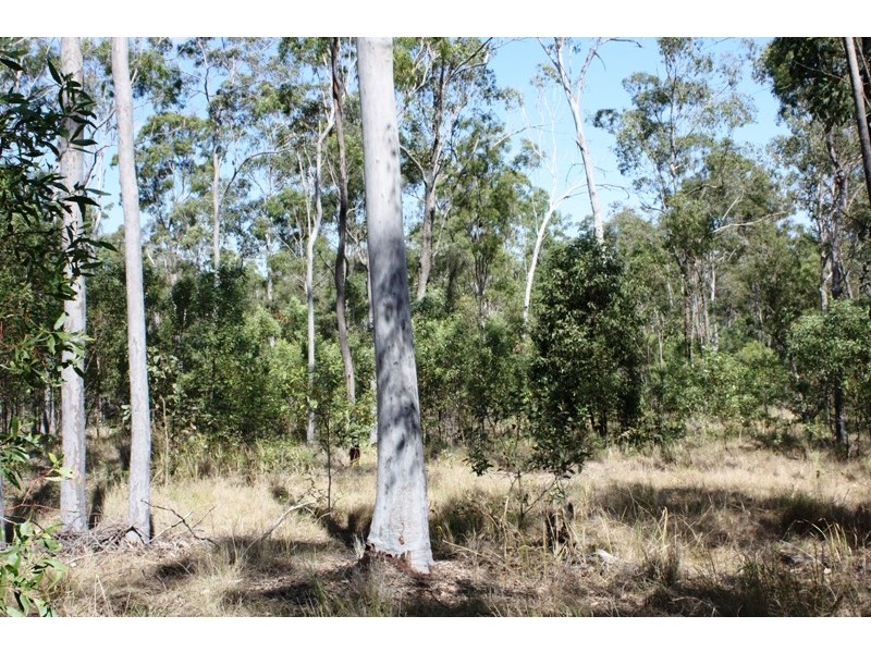 South Kolan QLD 4670