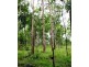 South Kolan QLD 4670