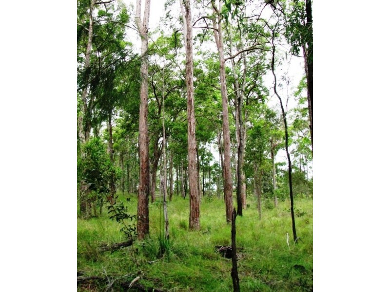 South Kolan QLD 4670