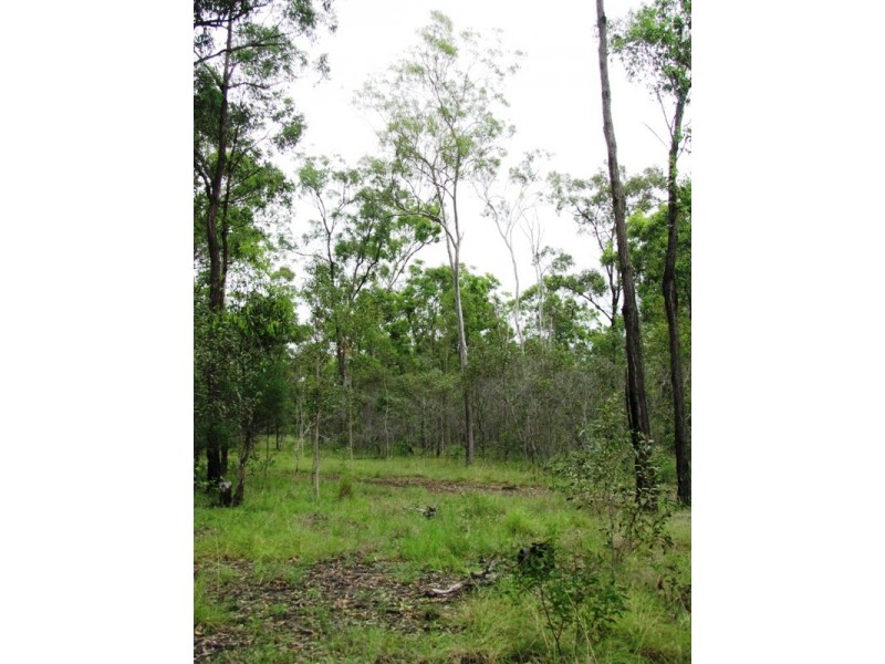 South Kolan QLD 4670