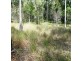 South Kolan QLD 4670
