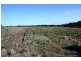 Alloway QLD 4670