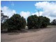 Bundaberg North QLD 4670