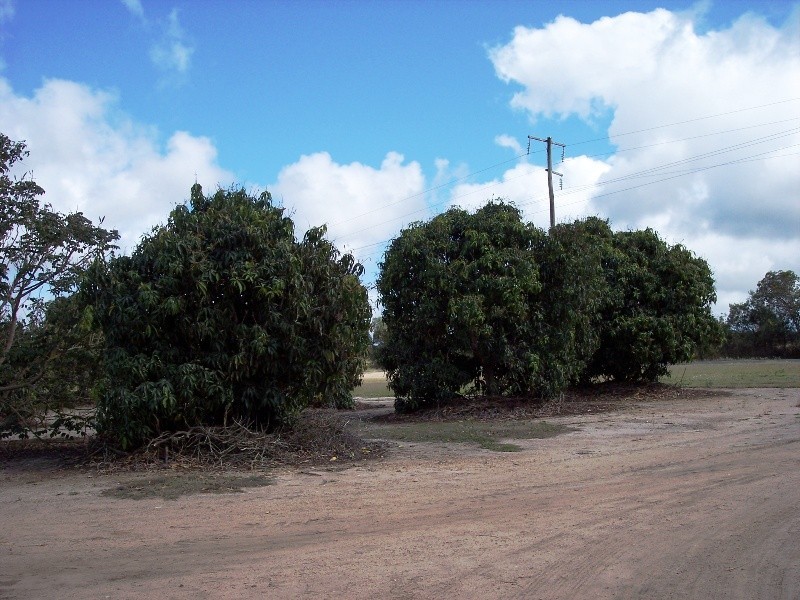 Bundaberg North QLD 4670