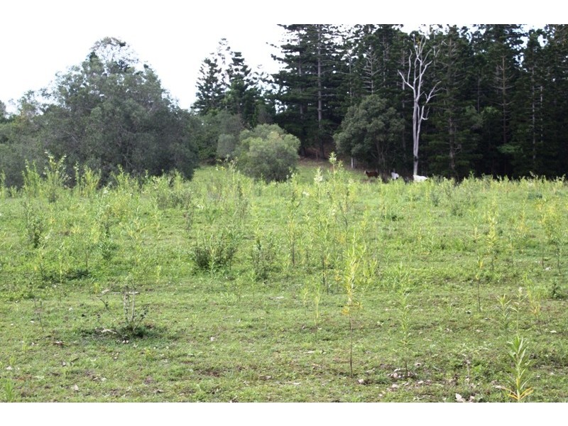Delan QLD 4671
