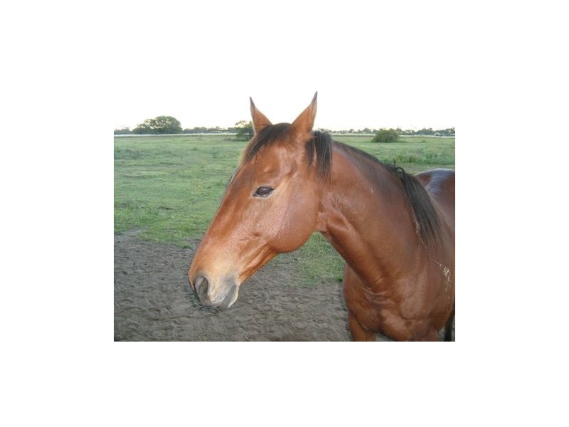 227 Fairydale Road, Moore Park Beach QLD 4670