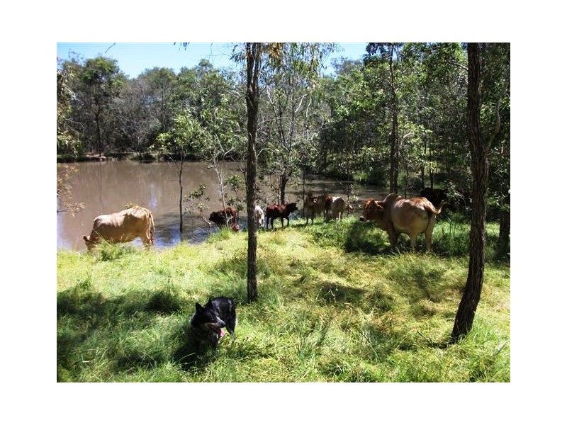 Lot 55 Tableland Road, Gin Gin QLD 4671