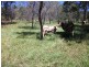 Lot 55 Tableland Road, Gin Gin QLD 4671