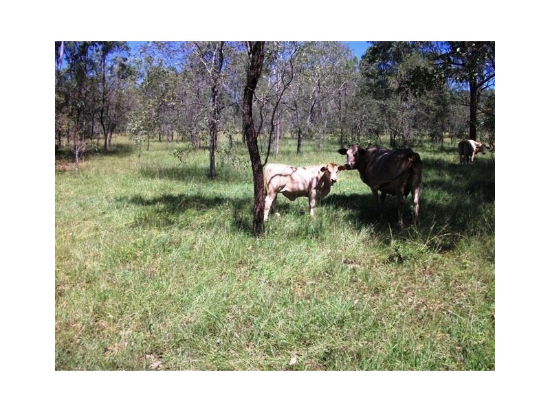 Lot 55 Tableland Road, Gin Gin QLD 4671