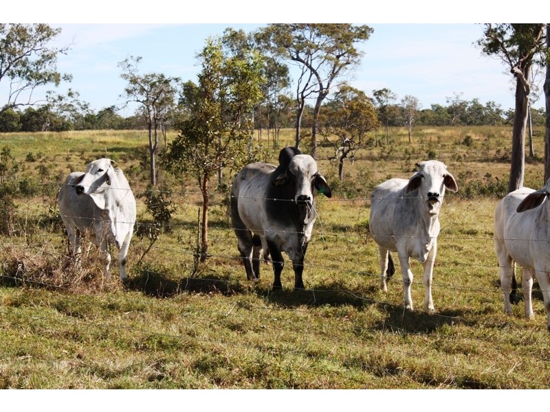Lot 5 Bundaberg Lowmead Road, Yandaran QLD 4673
