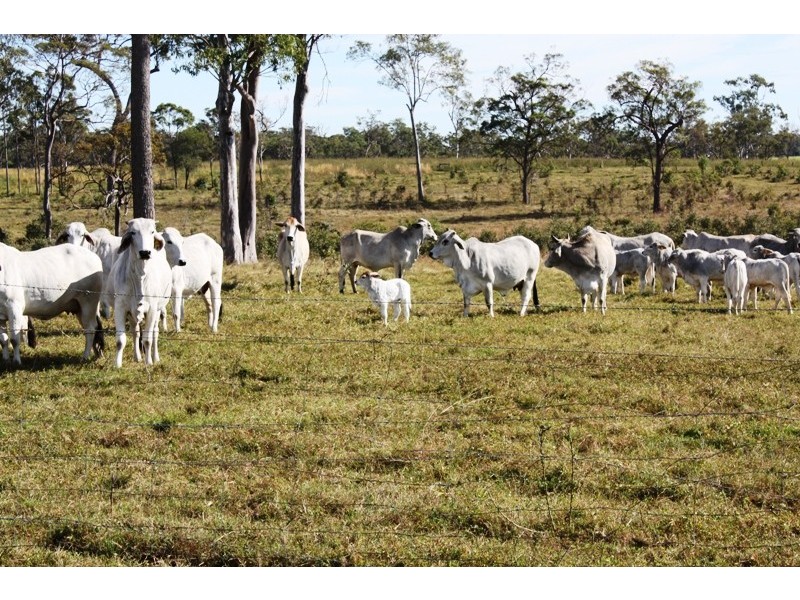 Lot 5 Bundaberg Lowmead Road, Yandaran QLD 4673