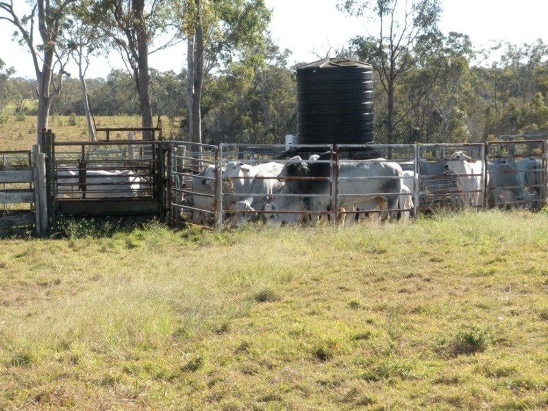 Lot 5 Bundaberg Lowmead Road, Yandaran QLD 4673
