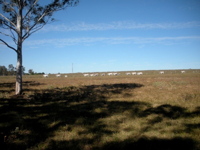 Lot 5 Bundaberg Lowmead Road, Yandaran QLD 4673