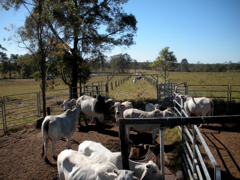 Lot 5 Bundaberg Lowmead Road, Yandaran QLD 4673