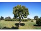 66 HANBURY STREET, Bundaberg North QLD 4670