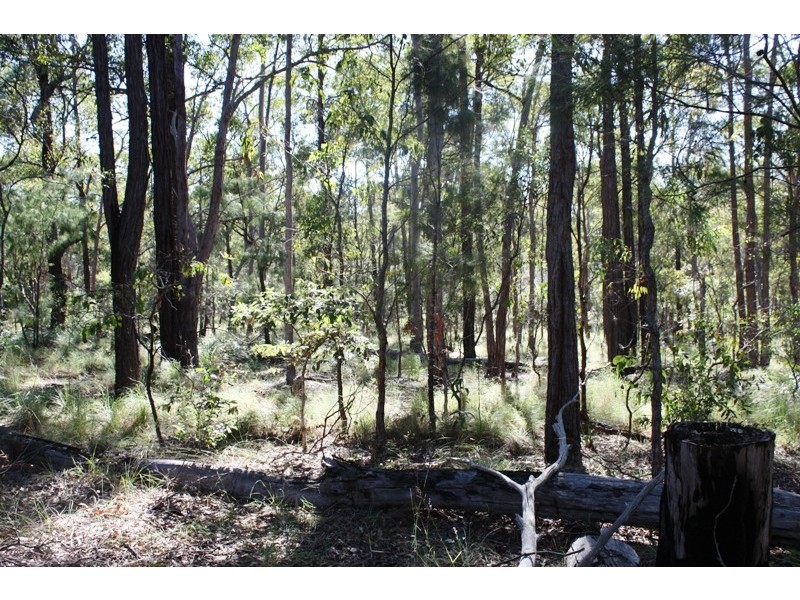 South Kolan QLD 4670