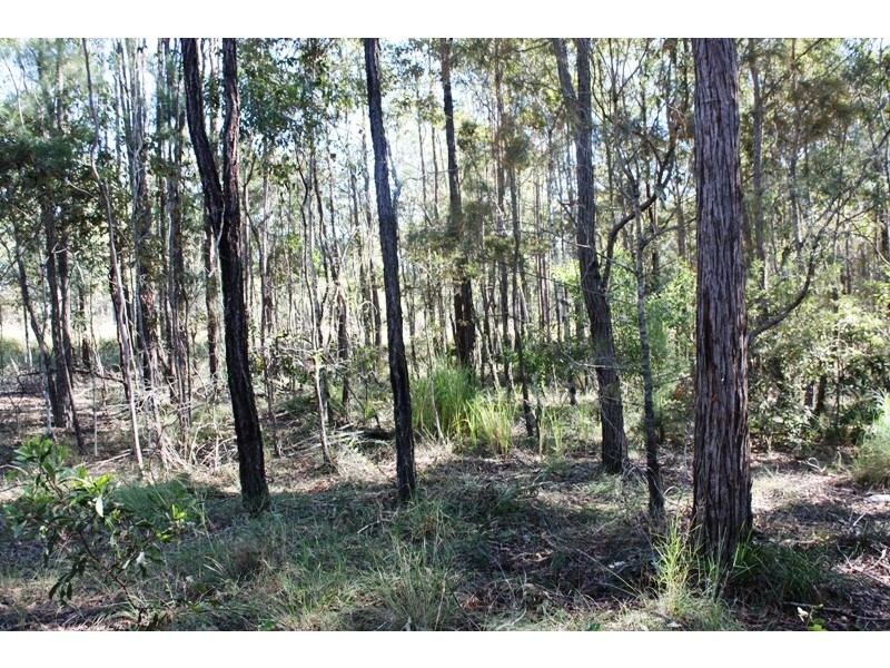 South Kolan QLD 4670