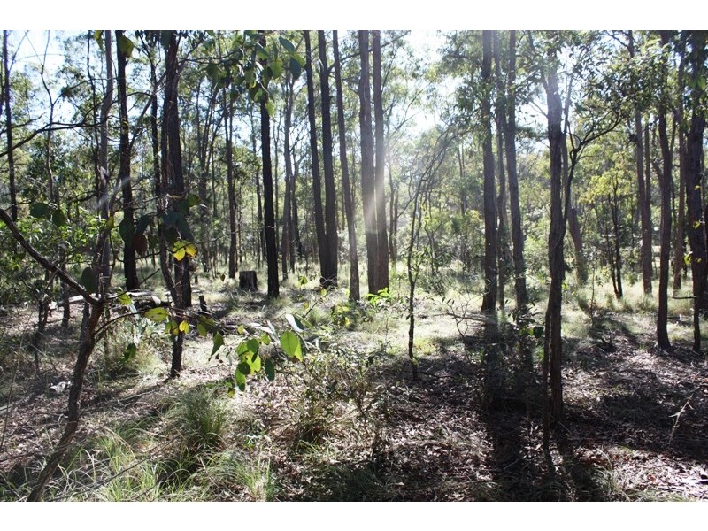 South Kolan QLD 4670