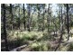 South Kolan QLD 4670