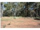 South Kolan QLD 4670