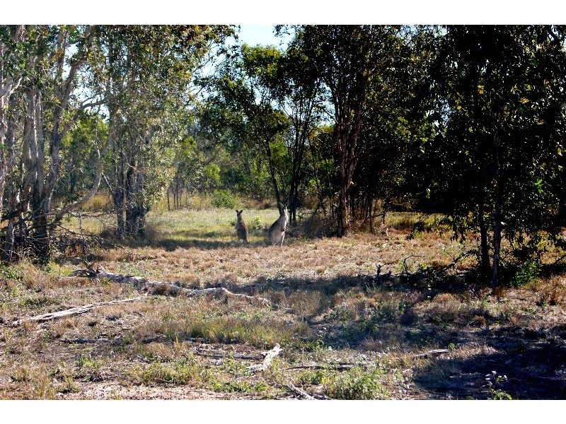Branyan QLD 4670