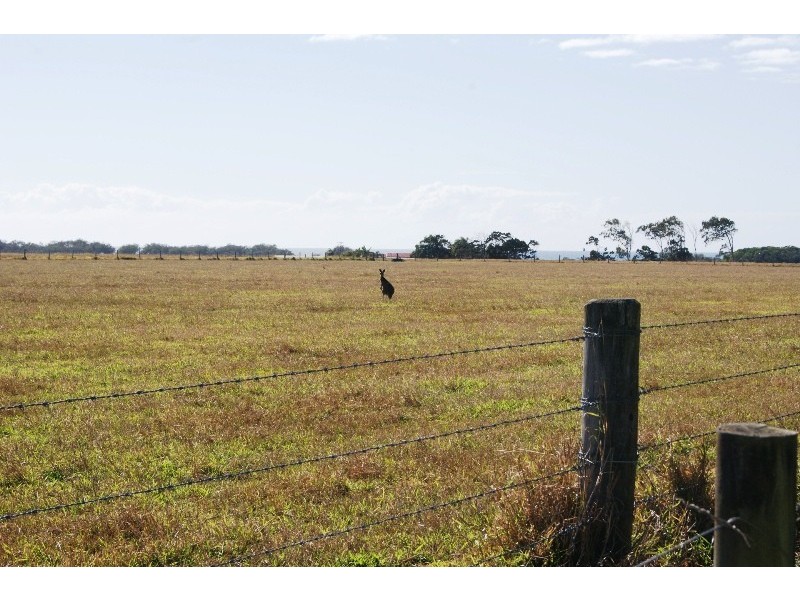 33 DAVENPORT DRIVE, Coonarr QLD 4670