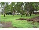 155 Innes Park Road, Innes Park QLD 4670