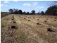 Bucca QLD 4670