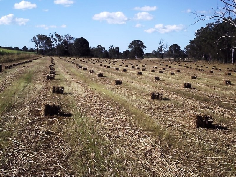 Bucca QLD 4670