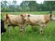 Bucca QLD 4670