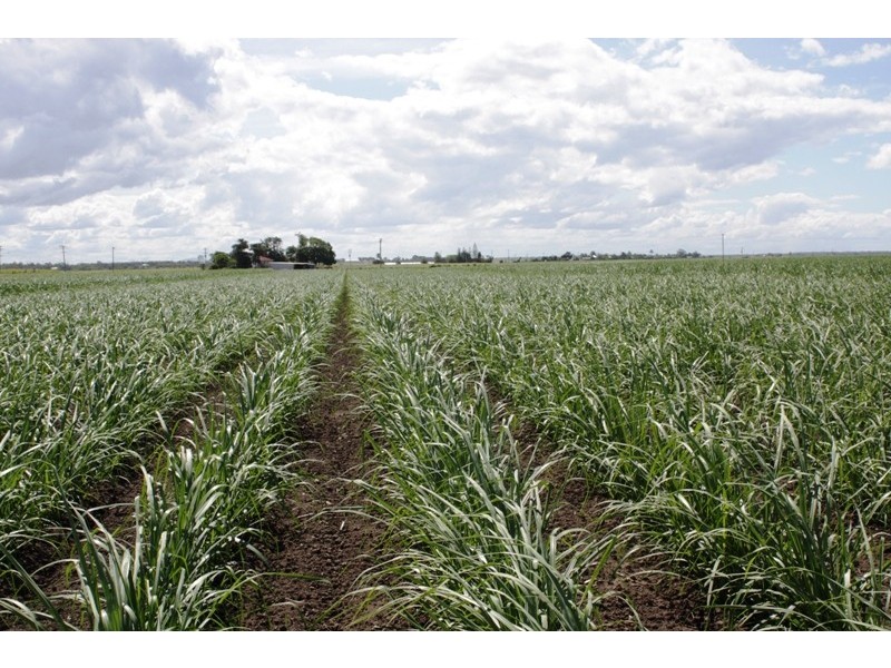 Moore Park Beach QLD 4670