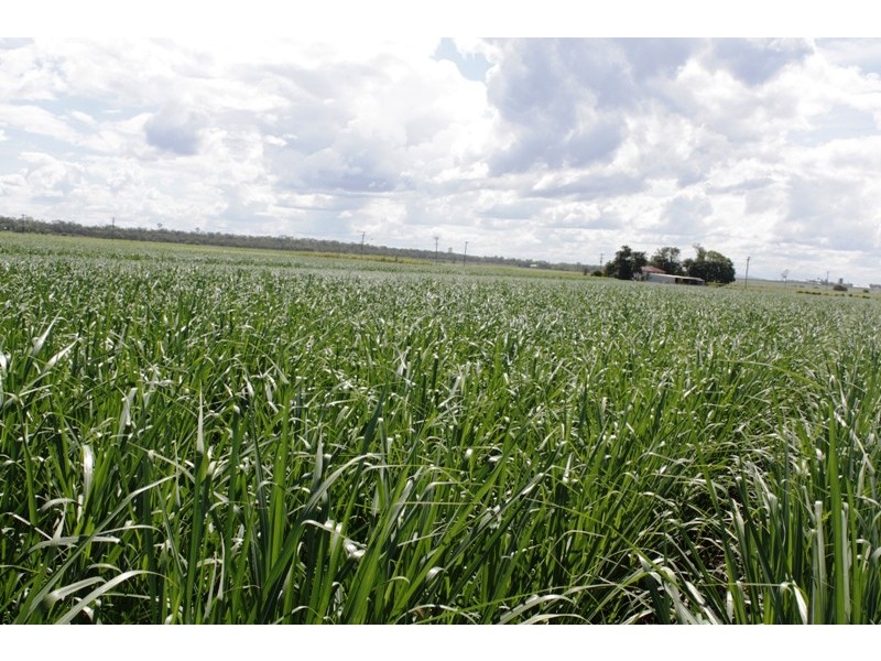 Moore Park Beach QLD 4670