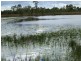28 Neighbours Road, Childers QLD 4660
