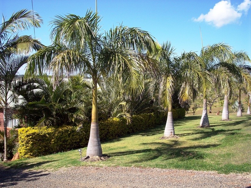 LOT 8 STANTONS ROAD, Childers QLD 4660