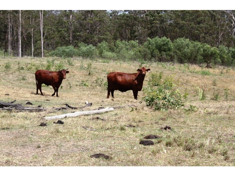 63 Alcharinjah Drive, Gin Gin QLD 4671