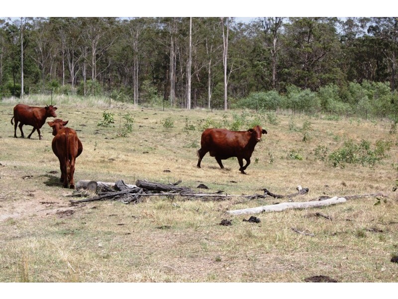 63 Alcharinjah Drive, Gin Gin QLD 4671