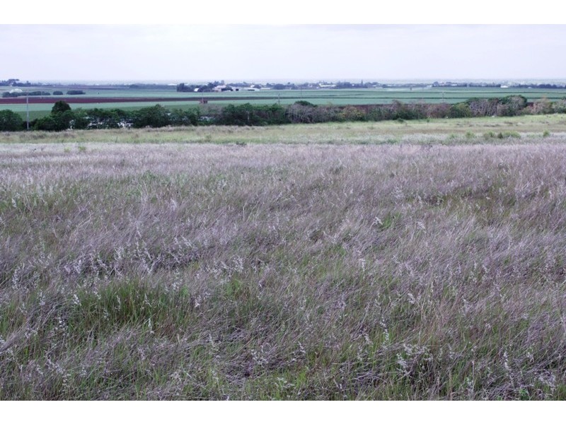 197 Windermere Road, Qunaba QLD 4670