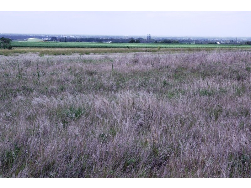 197 Windermere Road, Qunaba QLD 4670