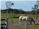 Calavos QLD 4670