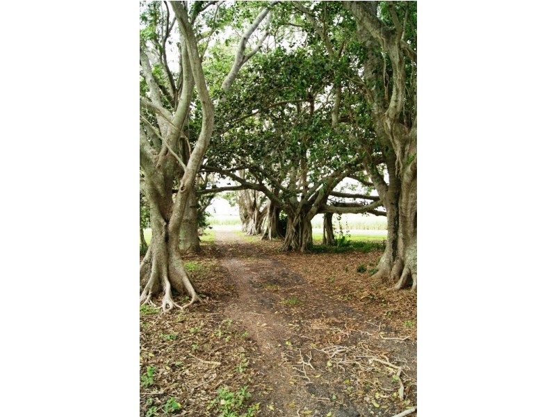 1533 MOORE PARK ROAD, Gooburrum QLD 4670