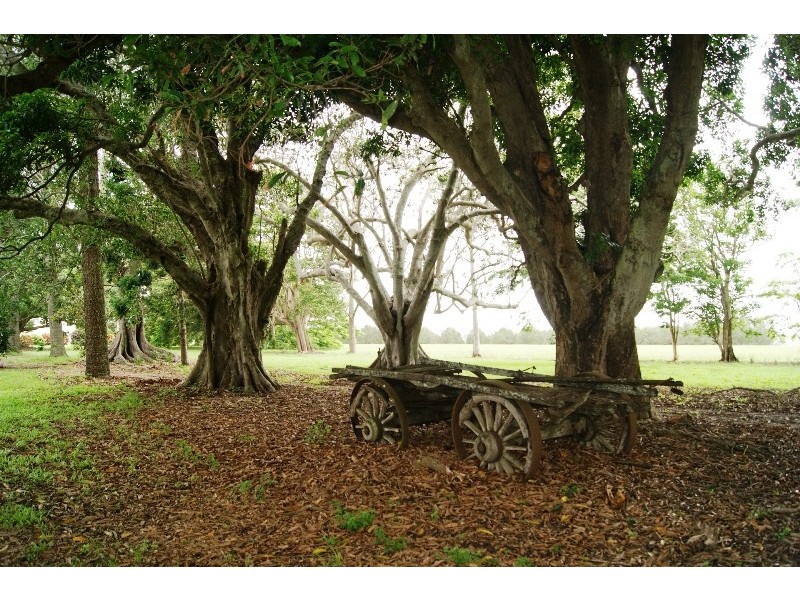 1533 MOORE PARK ROAD, Gooburrum QLD 4670