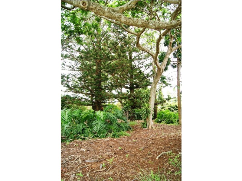 1533 MOORE PARK ROAD, Gooburrum QLD 4670