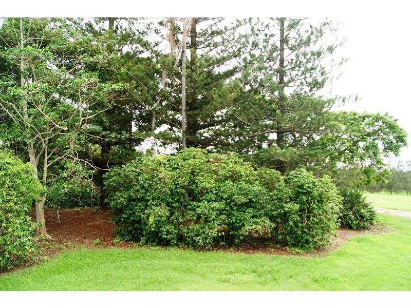 1533 MOORE PARK ROAD, Gooburrum QLD 4670