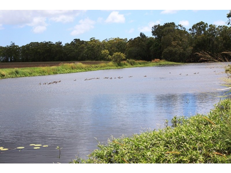 Meadowvale QLD 4670